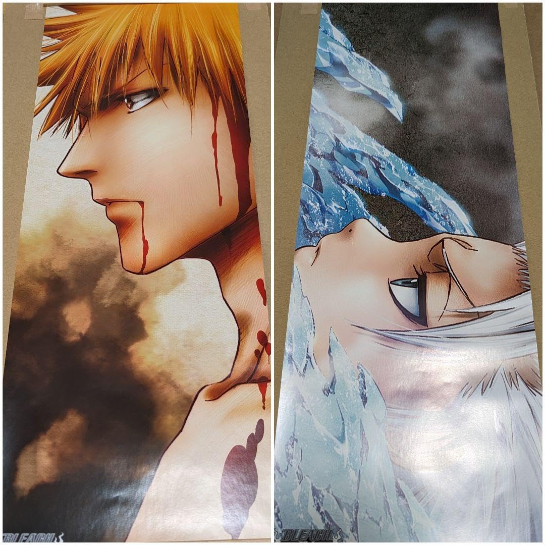 Amazon.co.jp: bleach 黒崎一護 日番谷冬獅郎 ポスター : おもちゃ